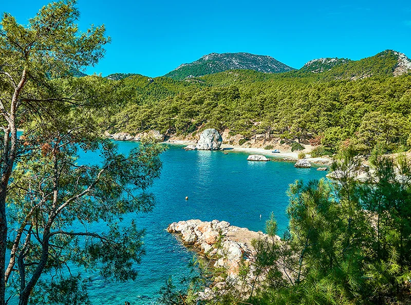 Porto Ceneviz Koyu